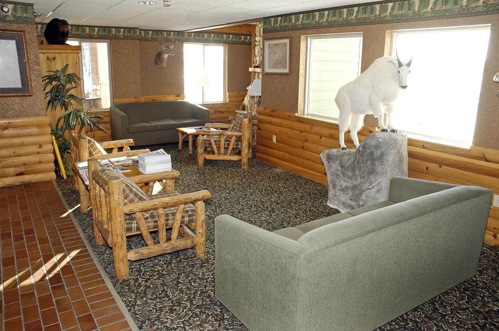 Pellston Lodge Dış mekan fotoğraf